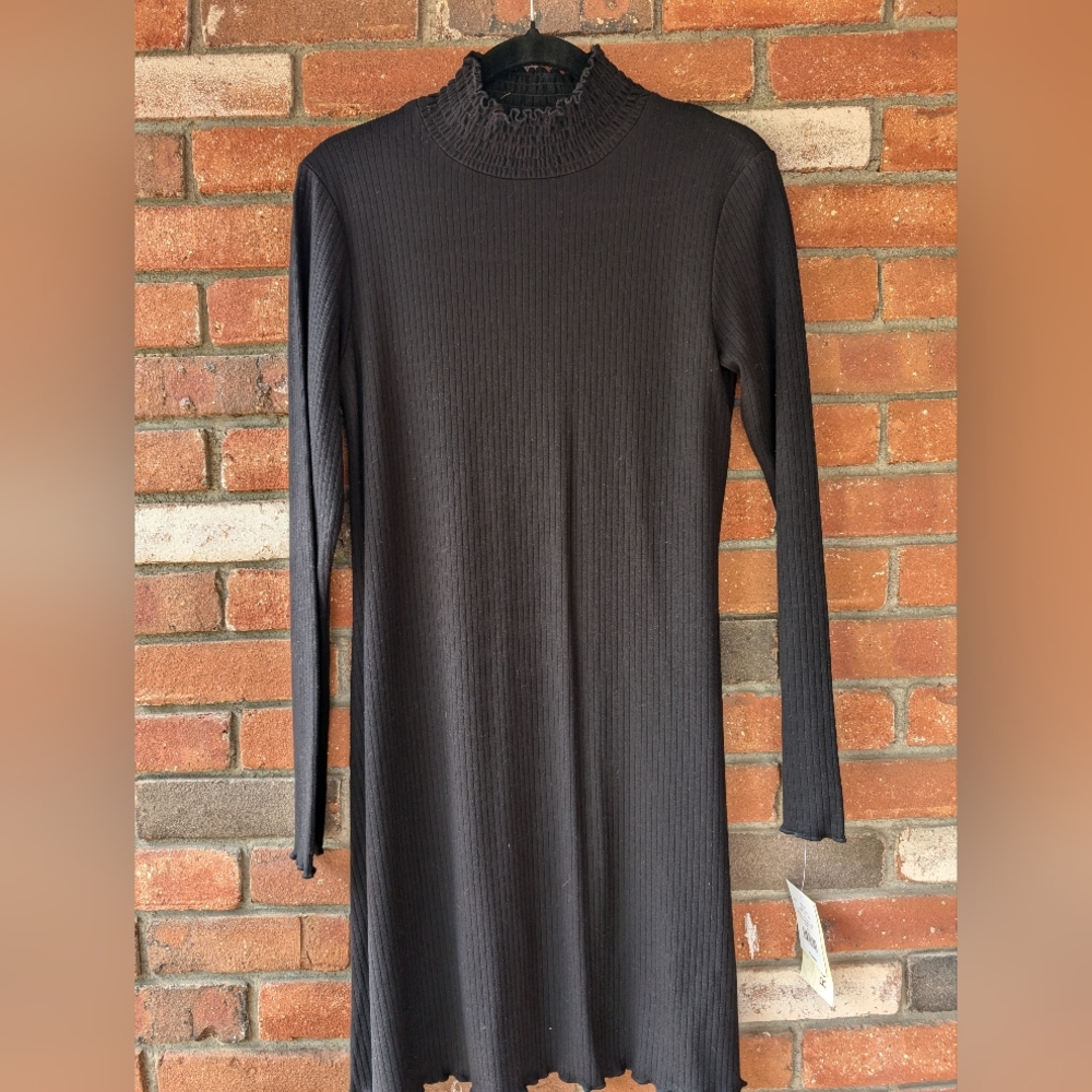 Women's ribbed mock turtleneck long sleeve dress.